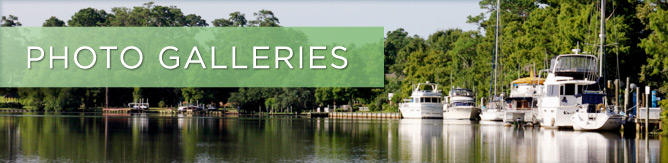 Photo Galleries Link